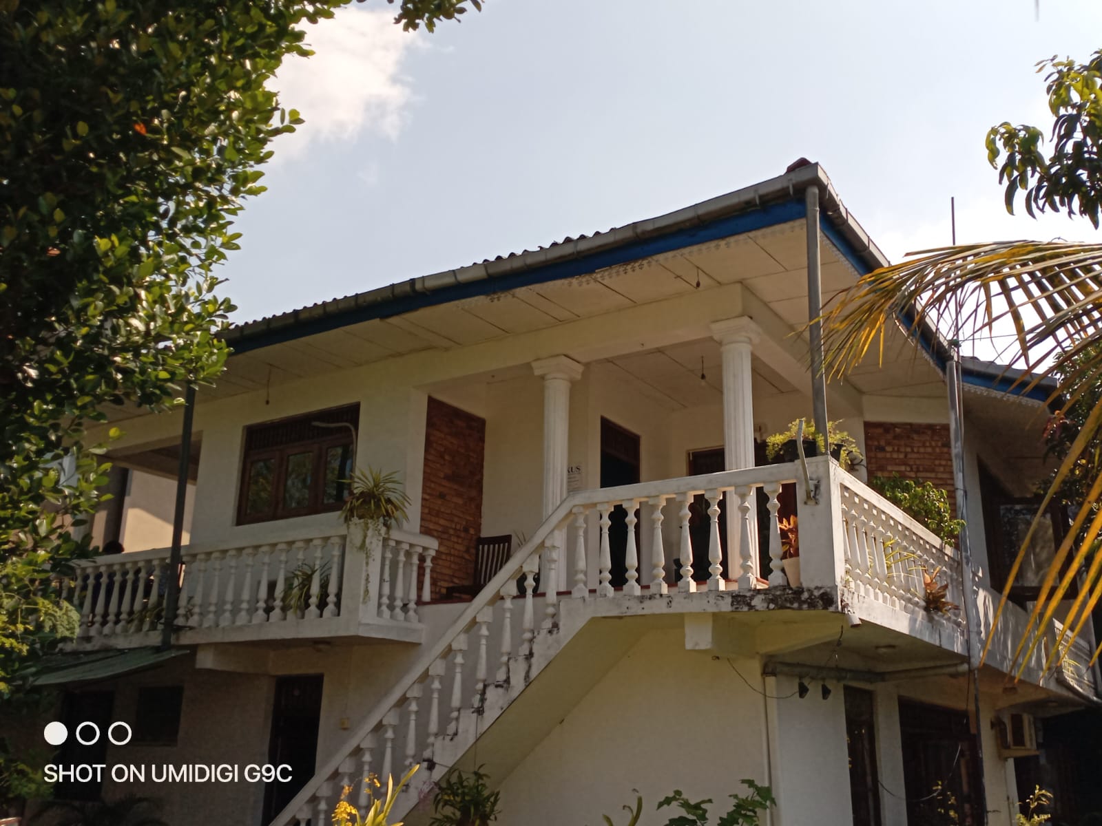 Lexus Business Consultants